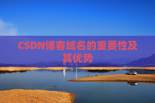 CSDN博客域名的重要性及其优势